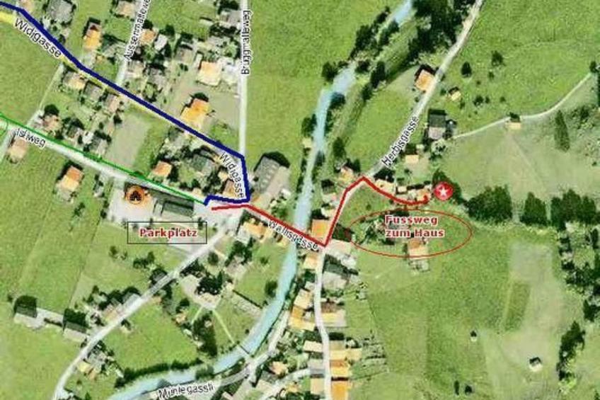 Flädermuus - foto 19