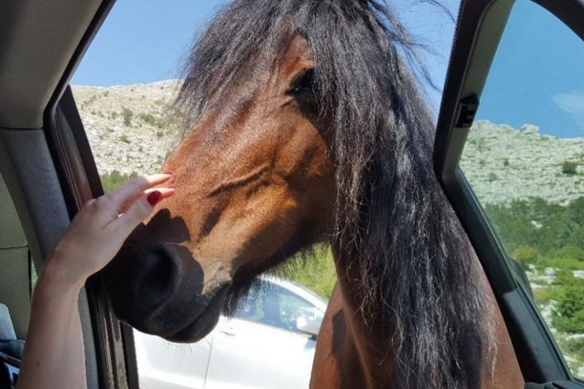 Villa Karina - foto 72