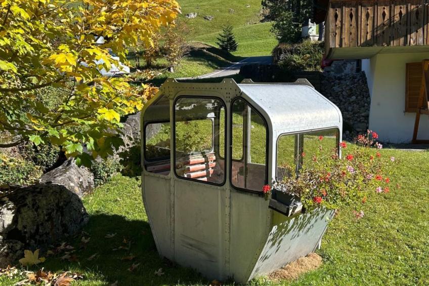 Wohnung Hirschi - foto 33