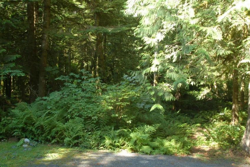 Hütte am See mit Whirlpool, Haustiere OK, Seezugang - foto 18