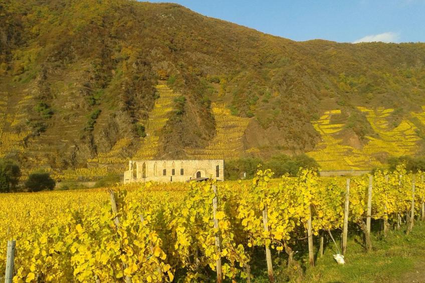 Historisches Fachwerkhaus mit modernem Komfort direkt an der Mosel - foto 10