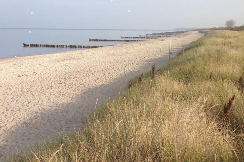 in Strandnähe - foto 20