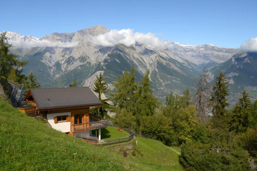 Ann - SUNNY & LUXE chalet 8 pers - foto 16