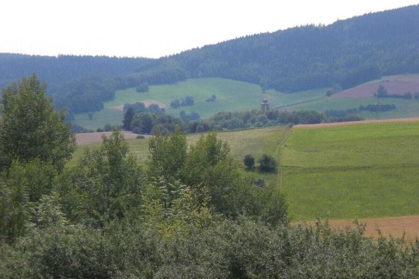151619 - foto 22