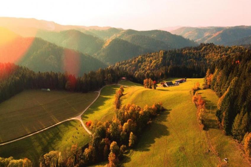 Panoramablick - foto 24
