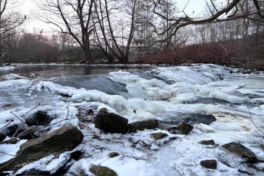 Ballenstedt - foto 37