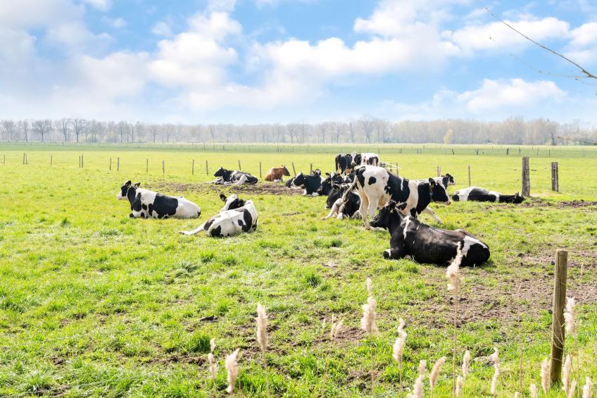 Okken House 3A - foto 16