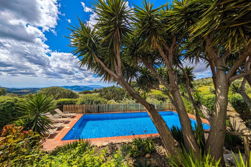 Finca las Chozas - foto 8