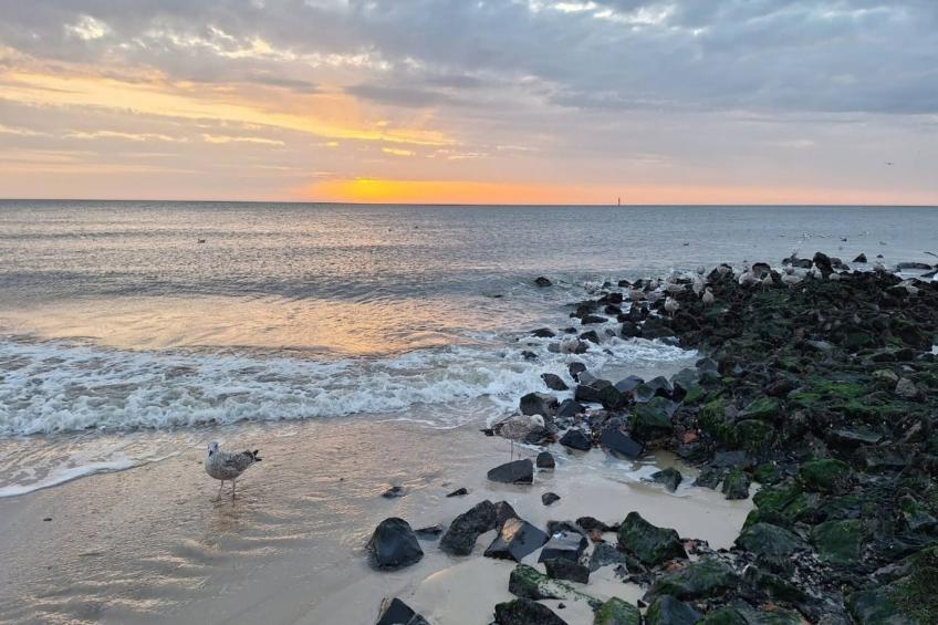 Apartments home Ursula, Westerland - Type F - foto 30