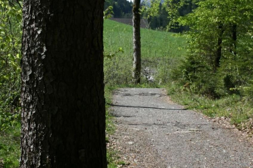 Fewo mit Herz - foto 34