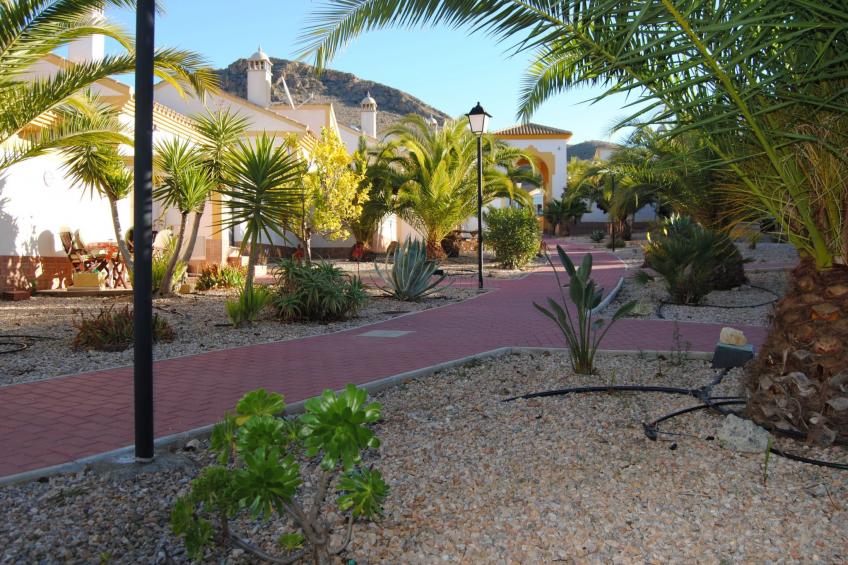 Casa Montana in Küstennähe... sehr empfehlenswert. - foto 24