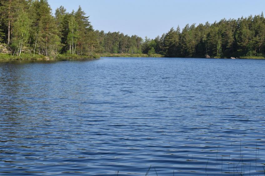 Typisch schwedisches Ferienhaus mit Garten - foto 34