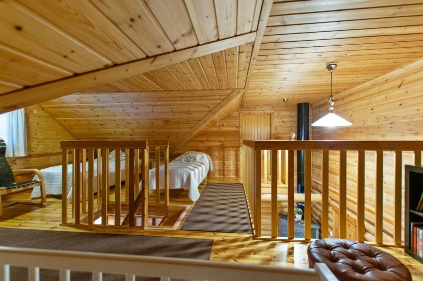 Kilpolan orvokki - foto 21