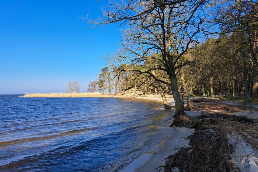 mit Terrasse mitten im Grünen - foto 23