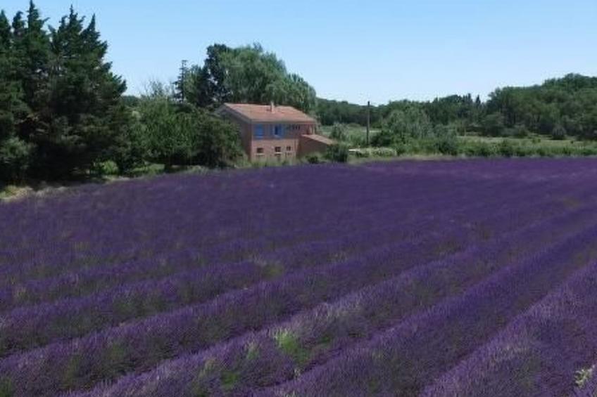 "Haus der Olivenbäume" - foto 41