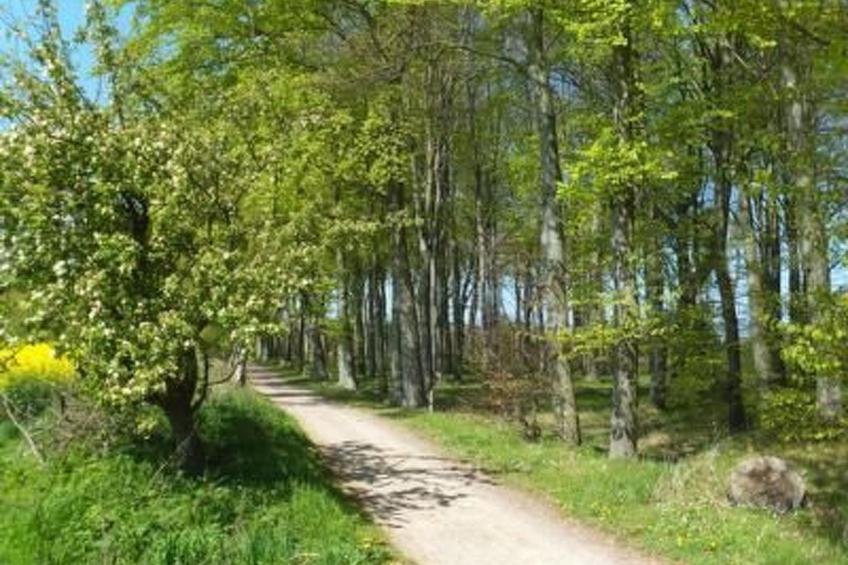 Ferienwohnung - foto 24