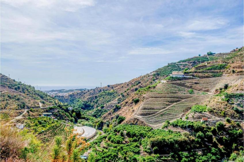 Villa Javier - foto 34