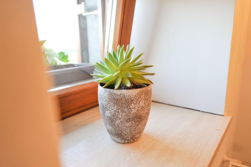 Relax and Rustic Apartments with Terrace - Classic One Bedroom Apartment with Terrace (owner Silvester) - foto 25