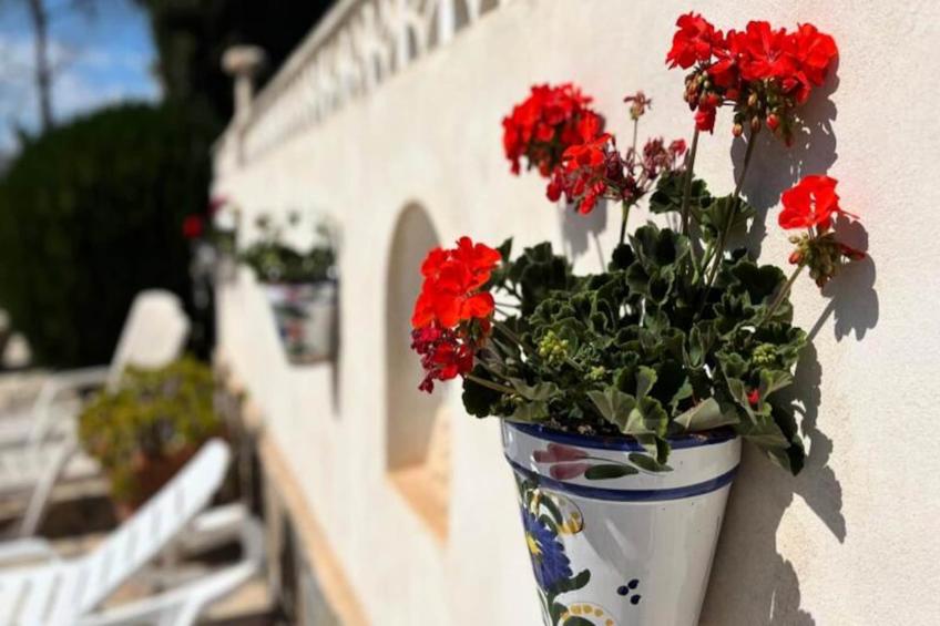 Authentique Finca Espagnole Avec Piscine Privée Et Jardin - foto 58