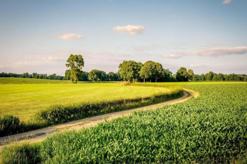 Vakantiepark Mölke 33 - foto 12