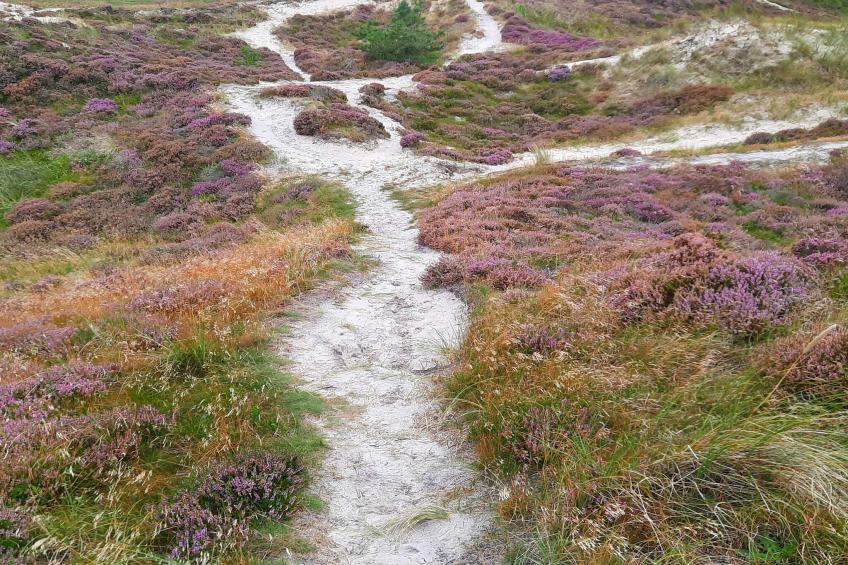 MOTEL UDSIGTEN - foto 8