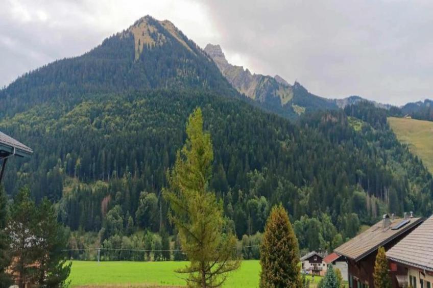 Chalet Montjoie - foto 28