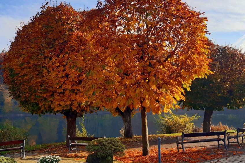 Landhaus Erika - foto 23