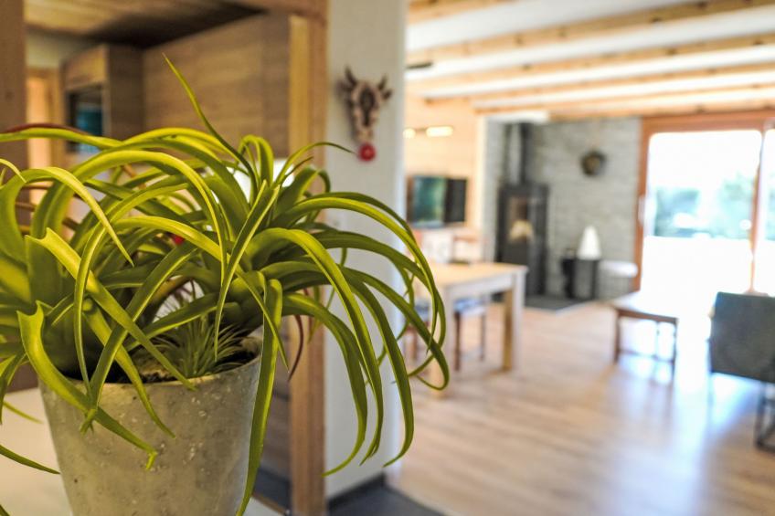 Chante Brise - foto 17