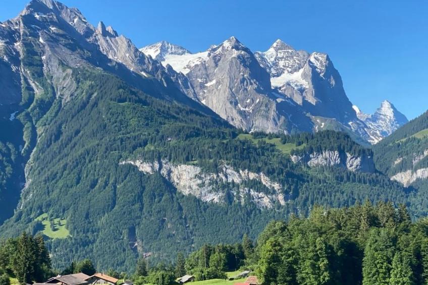 Chalet Bergruh - foto 17