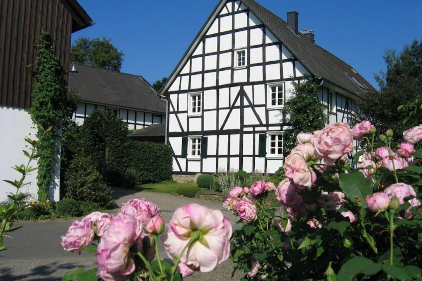 7034 - foto 6