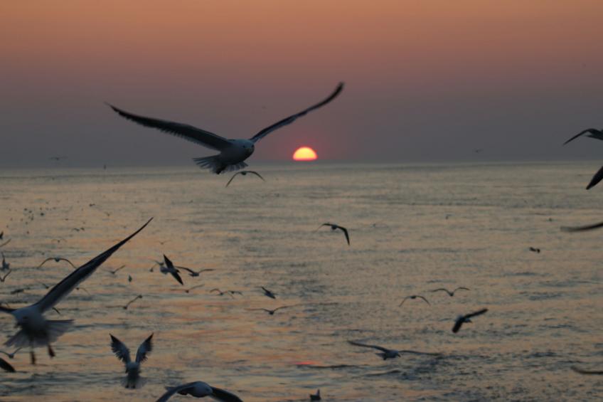 Fischer sien Huus - foto 67