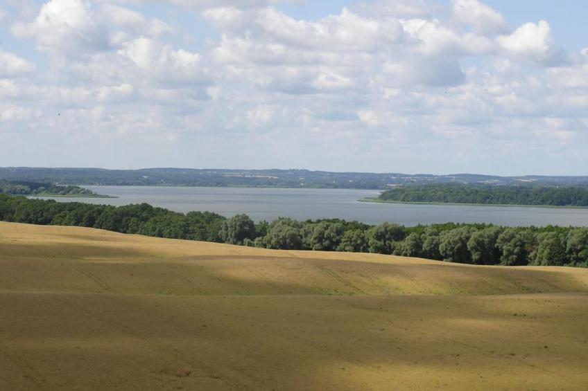 in Dahmen mit Großem Garten - foto 17
