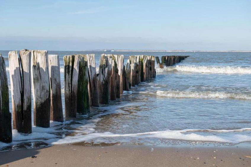 Schoneveld 146 Zeemeeuw Breskens - foto 35