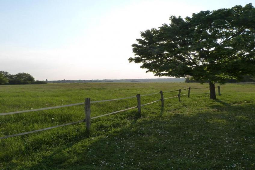 Maison de vacances - CHILLEURS-AUX-BOIS - foto 23