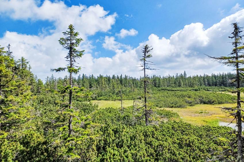 Luxury Home with large terrace & Netflix - foto 30