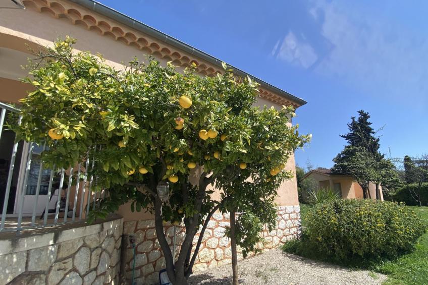 Geräumige und elegante Villa mit großem Garten, Swimmingpool und 3 Schlafzimmer - foto 32