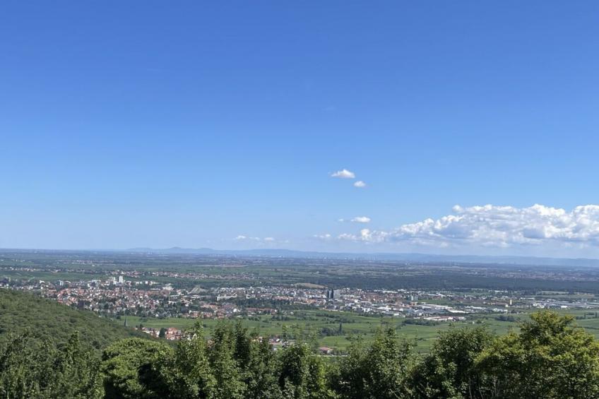 520001 - foto 21