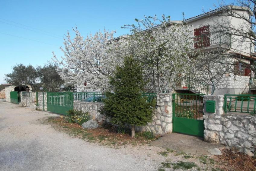 Apartment Antonio - One Bedroom apartment with Terrace - foto 17