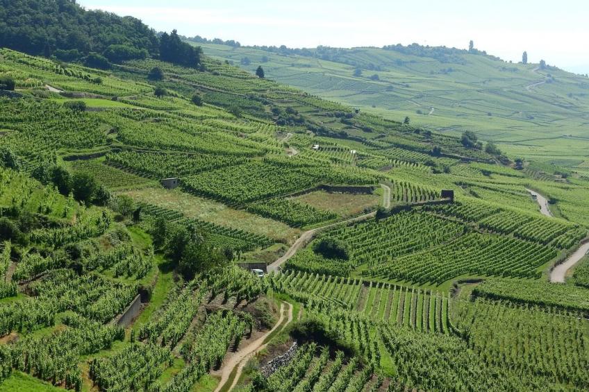 Wohnung "Terre d'Hélène" und Garten - foto 37