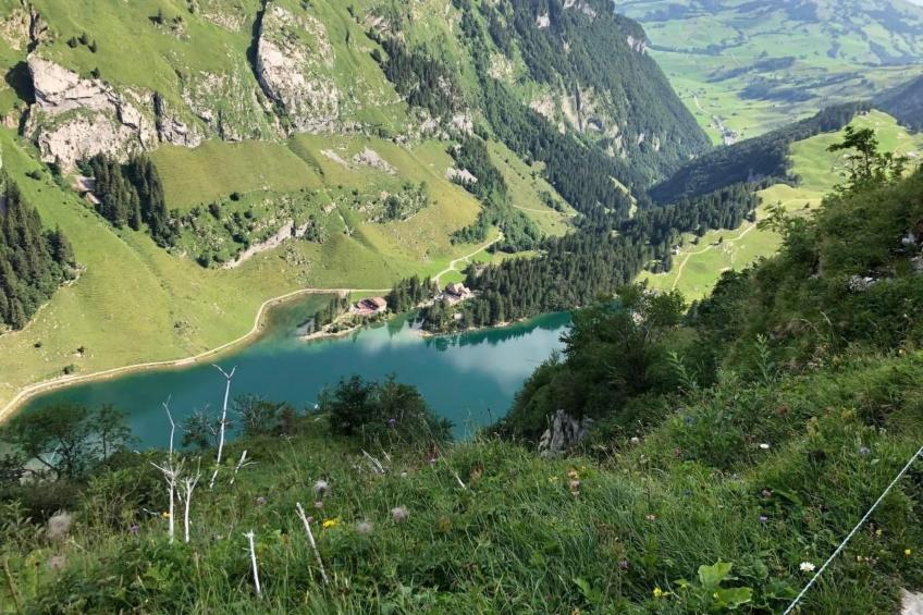 im Dorf Urnäsch - foto 26