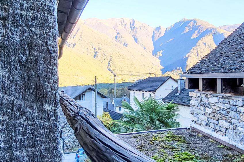 Casa Sambuco - foto 36