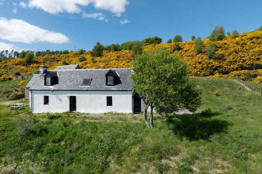 Wester Bunloit - foto 25