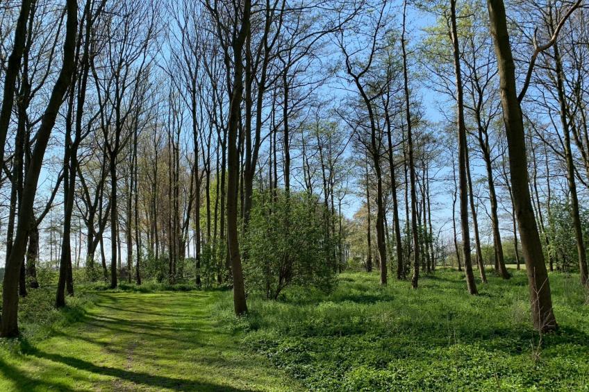 in Dirkshorn - foto 35