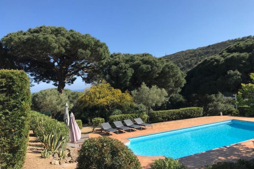 284383 - foto 3