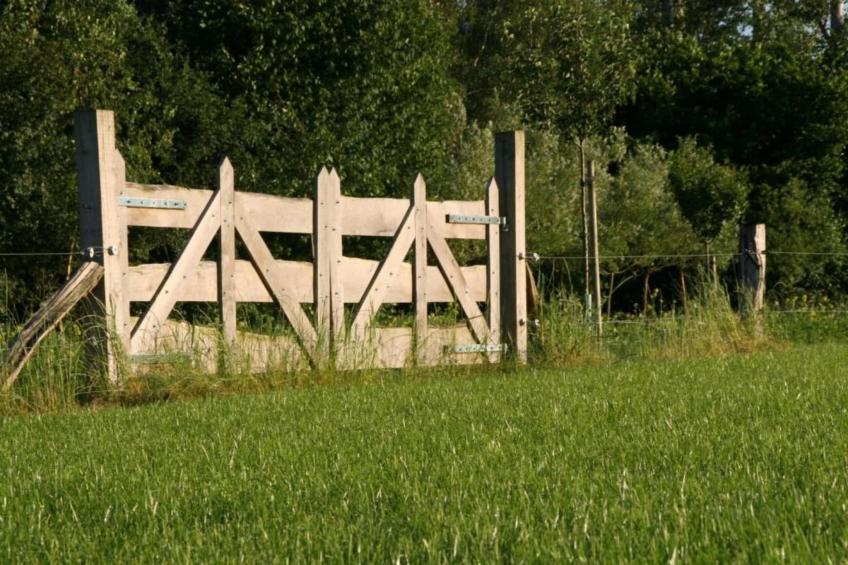 Het Kruisselt - foto 25