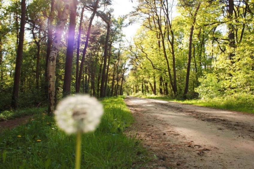 De Weelderik 1 - foto 27