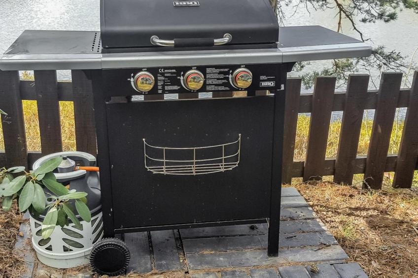 Pippuriranta - foto 27