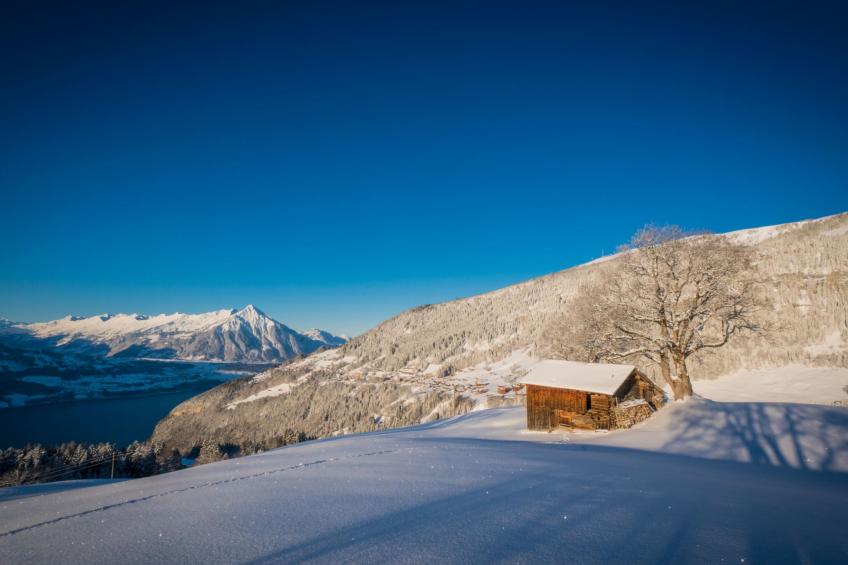 Wohnung Edelweiss direkt in 4 Sterne Hotel - foto 36