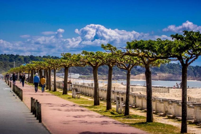 La Bergerie - foto 25