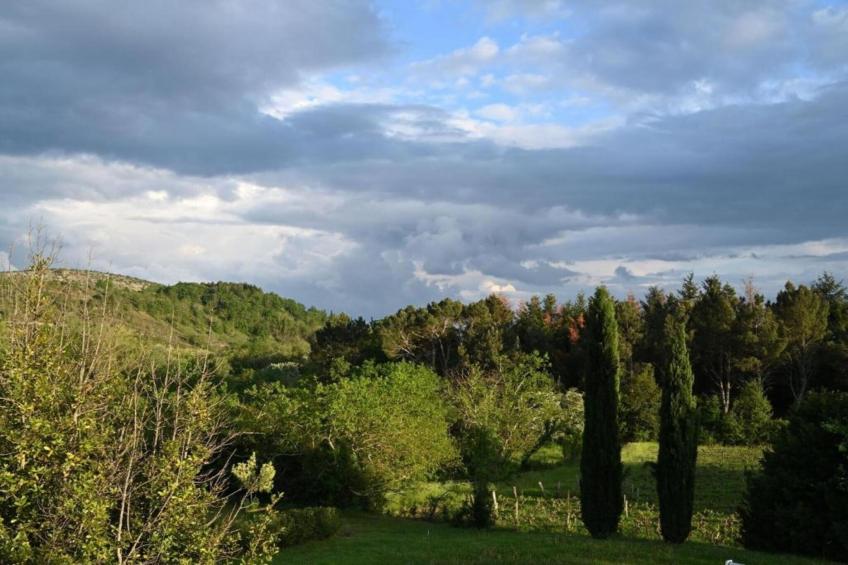 Mas du Pays des Cigales studio Les Papillons - foto 38